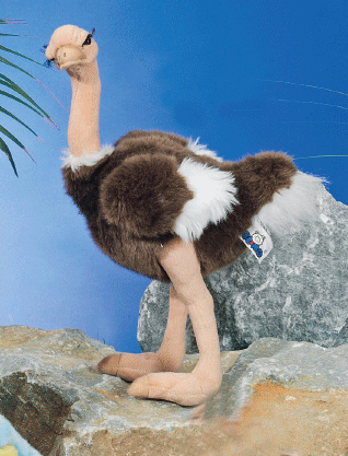 Pluche struisvogel knuffels 30 cm