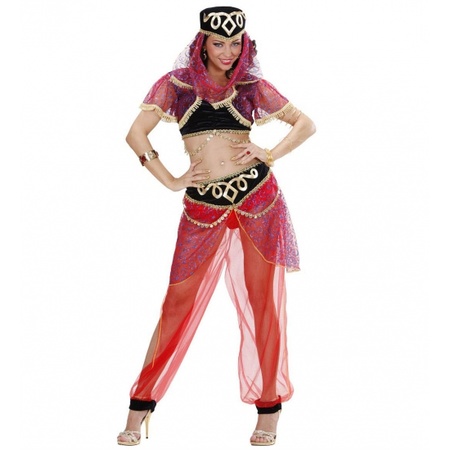 1001 nights belly dancer costume