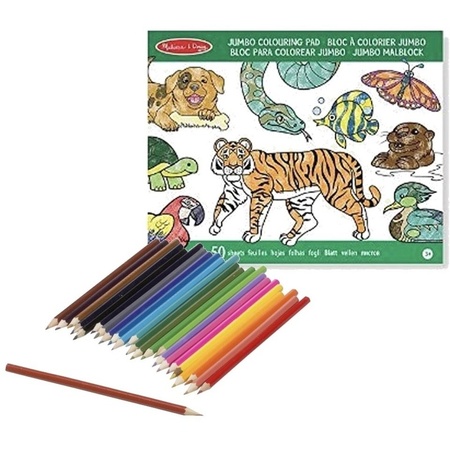 Dieren kleurboek met kleurpotloden set