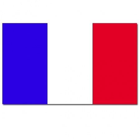 Frankrijk decoratie vlag 100 x 150