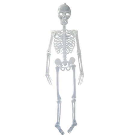 Halloween skelet glow in the dark 150 cm
