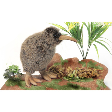 Nieuw Zeelandse pluche kiwi 28cm