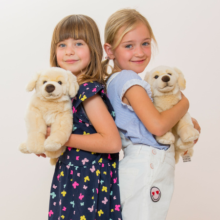 Knuffeldier hond Golden Retriever - zachte pluche stof - premium knuffels - blond - 30 cm
