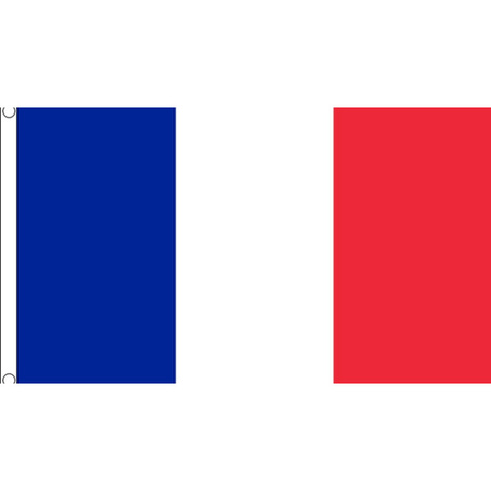 Grote vlag Frankrijk 150 x 240 cm