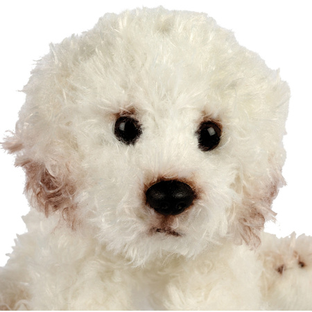 Pluche knuffeldier  hond - Bichon Frise - creme wit - 13 cm - huisdieren thema