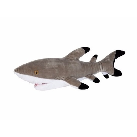 Black tip reef shark 75 cm